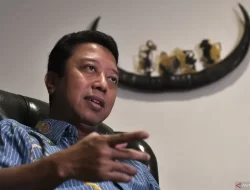 [Update] Info Peluang PPP Gabung Prabowo-Gibran, Rommy: Tunggu Keputusan Mukernas Update 2023